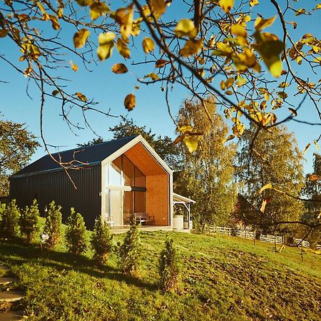 Scandinave Chalet Bran Zărneşti Kültér fotó