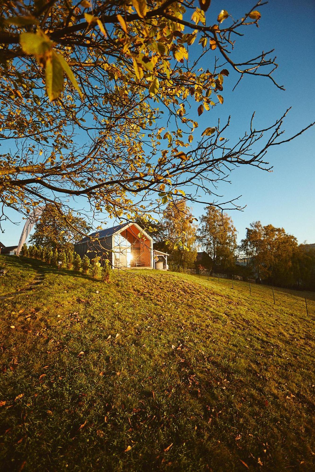 Scandinave Chalet Bran Zărneşti Kültér fotó