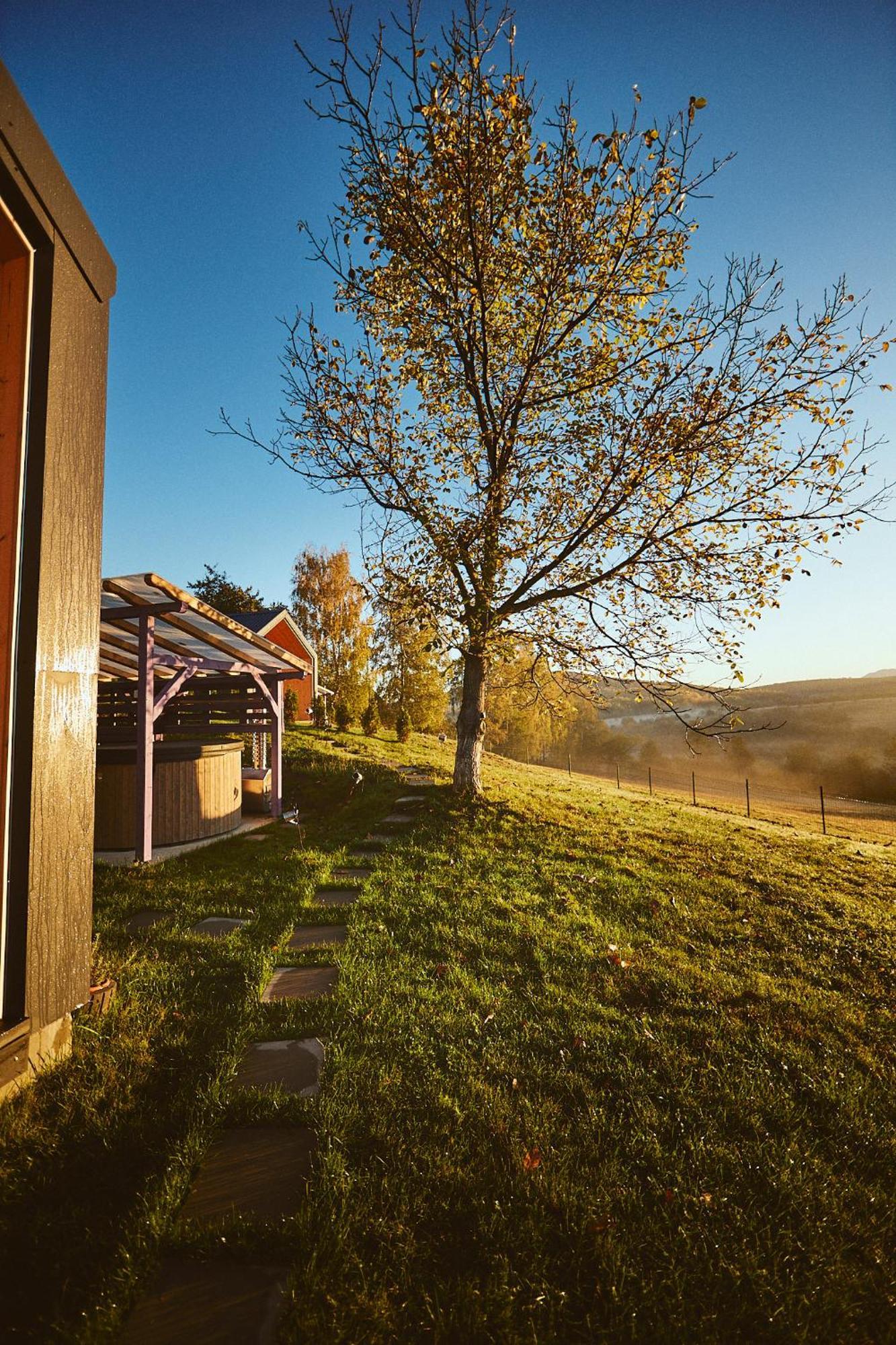 Scandinave Chalet Bran Zărneşti Kültér fotó