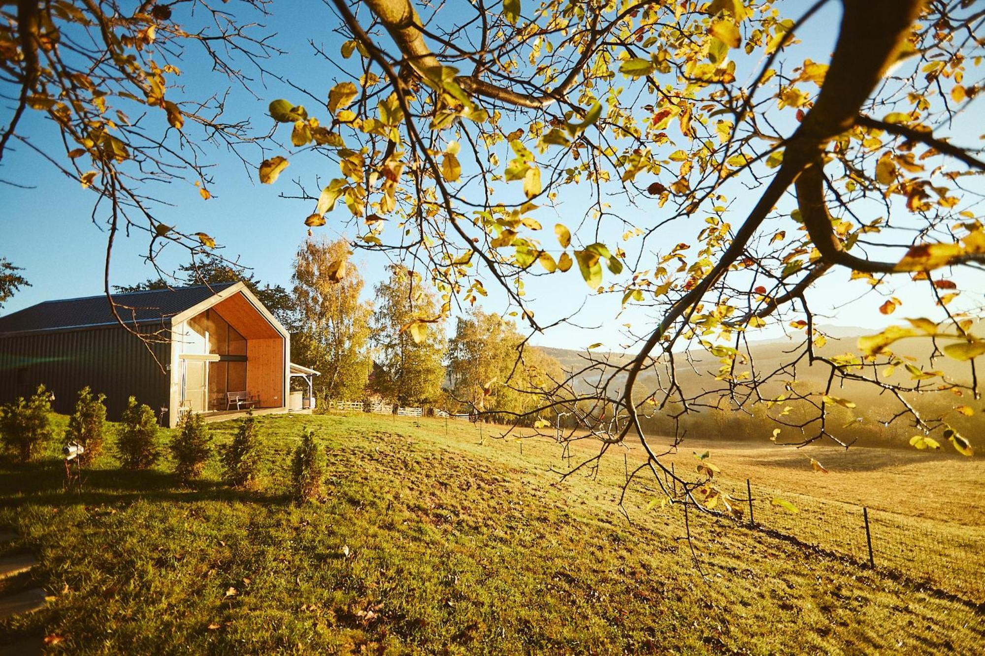 Scandinave Chalet Bran Zărneşti Kültér fotó