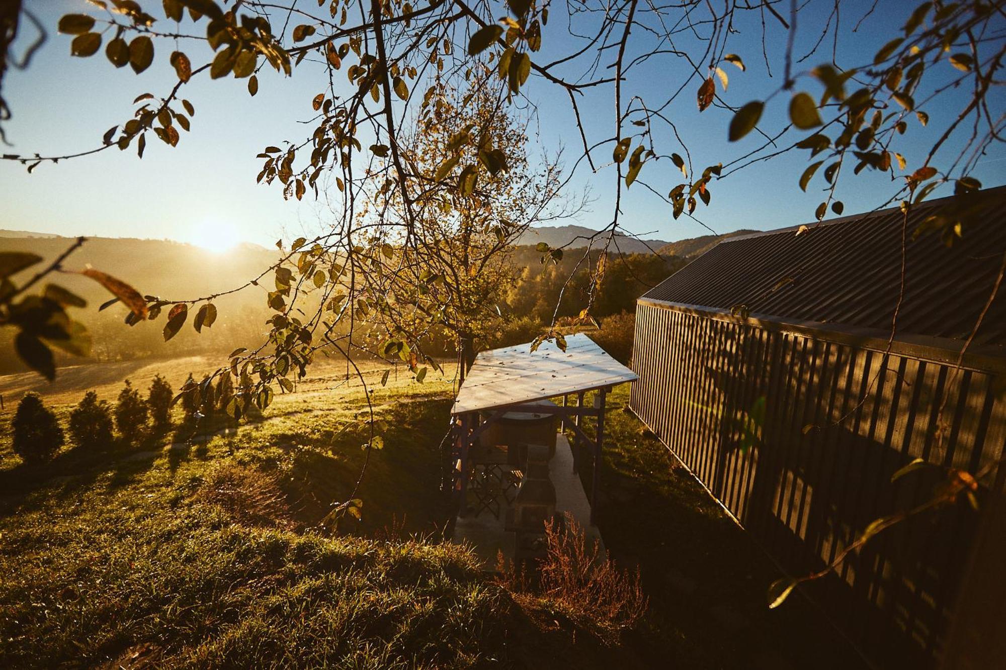 Scandinave Chalet Bran Zărneşti Kültér fotó