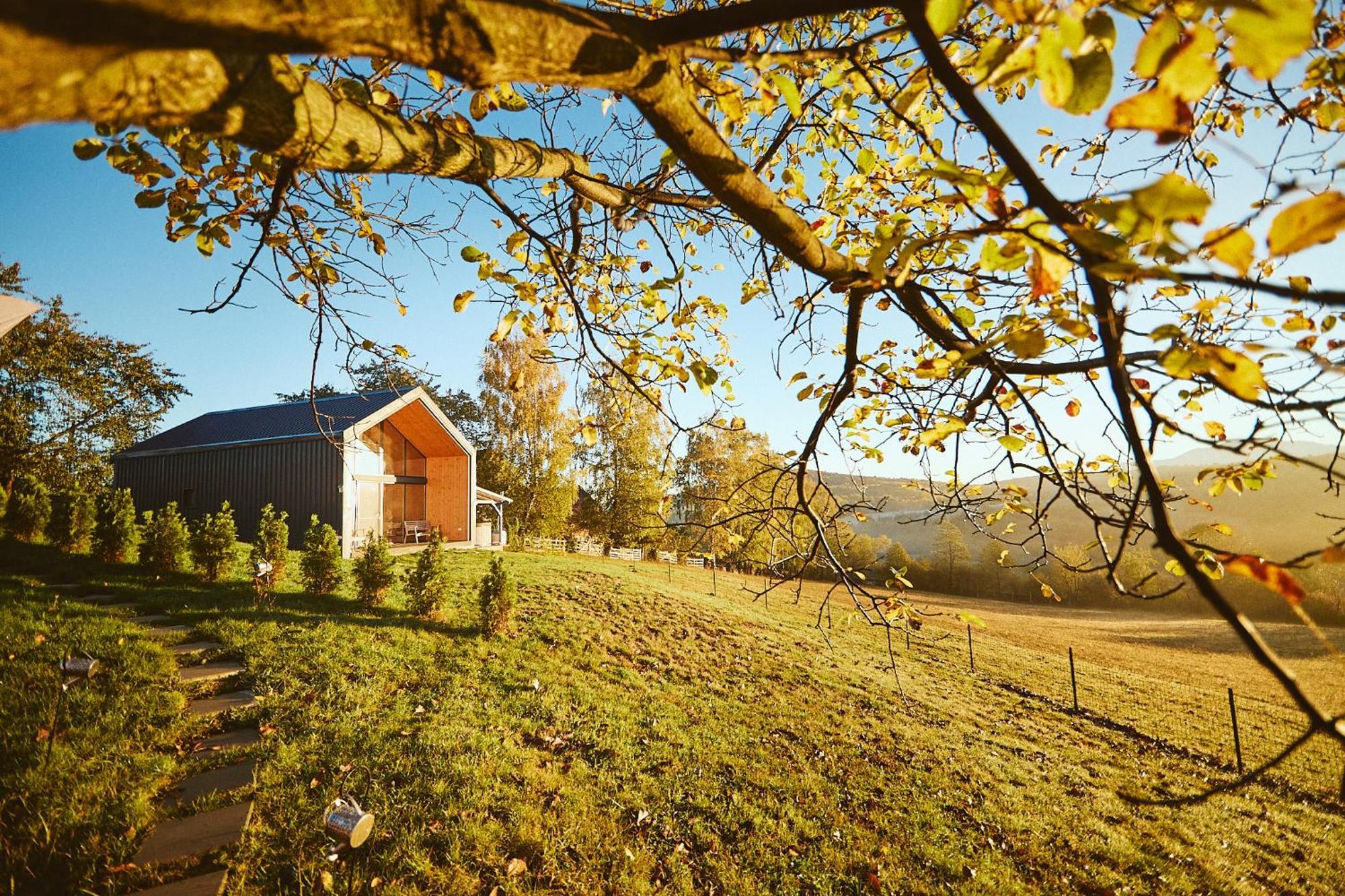 Scandinave Chalet Bran Zărneşti Kültér fotó